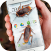 Cockroaches in Phone Ugly Joke icon