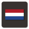 Lightning Launcher Nederlands icon