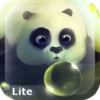 Panda Dumpling Lite icon