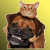 Figurinhas de Animais Gatos e Cachorros icon