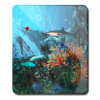 Aquarium Light Reef Fish HD icon