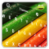 Color Keyboard For Kids icon