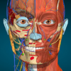 Anatomy Learning – 3D Anatomy icon