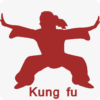 Learn Kungfu icon