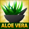 Aloe Vera Benefits! icon