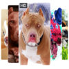 Pitbull Dog Wallpapers HD 2019, Dog Wallpapers icon