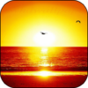 Sunset Beach Live Wallpaper icon