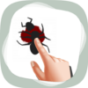 Ant Smasher icon