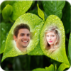 Leaf Dual Photo Frame icon