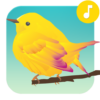 Bird Sounds Ringtones icon