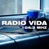 Radio Vida Saladas icon