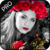 Color Pop: Color Splash Effect Photo Editor icon