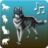 Relaxing Animal Atmosphere – Animal Sounds icon