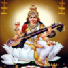 Maa Saraswati: All in one icon