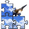 Puzzle Aircrafts icon