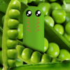 Mr.Pea icon