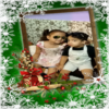 Snowfall Photo Frames Editor: DP, Quotes, Greeting icon