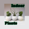 Indoor Plants icon