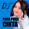 Dj Pura pura cinta remix icon