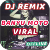 🎵 Lagu Banyu Moto Viral 😭 DJ Remix Offline icon