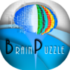 Brain Puzzle icon