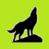 Animals Name and Sounds icon