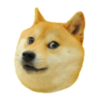 Doge 2048 icon