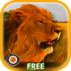 Wild Lion Shooting icon