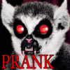 Prank Lemur From Hell icon