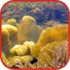 Coralreef Cool Wallpapers icon