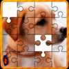 Animal Jigsaw Puzzles DayCare icon