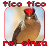 Tico tico rei cinza album mestre icon