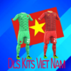 Dls Kits Viet Nam icon