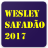 Wesley Safadão 2017 icon