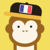 Ling Learn French Language icon