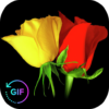 Flowers And Roses Animated Images Gif pictures 4K icon