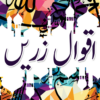 AqwaleZareen in Urdu icon