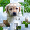 PicPu Dog Picture Puzzle icon