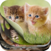 Cute Kitten Puzzle Kit & Wallpapers icon