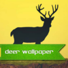 Deer Wallpaper icon