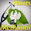 Medicinal Plants and Its Uses icon