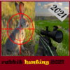 rabbits hunting .rabbit hunting games icon