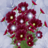 Beautiful Flowers Shine LWP icon