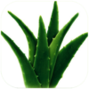 Health Benefits Of Aloe Vera icon