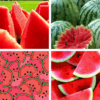 Watermelon Wallpapers: HD images Free download icon