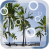 Beach Palms Live Wallpaper icon