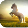 Horse HD Wallpapers icon