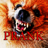 Prank Angry Dog icon