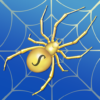 Spider Solitaire Card Games icon