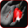 Romantic Love Pics icon